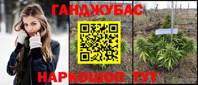сатива Гусев
