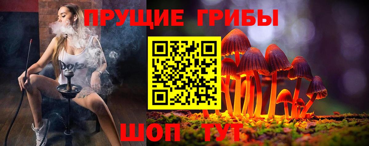 Галлюциногенные грибы Psilocybine cubensis  Вход с VPN  Дубна 