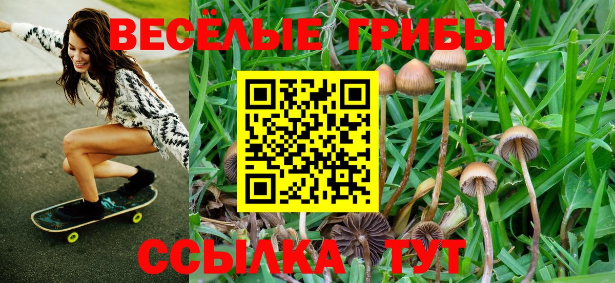 Галлюциногенные грибы Cubensis Дубна
